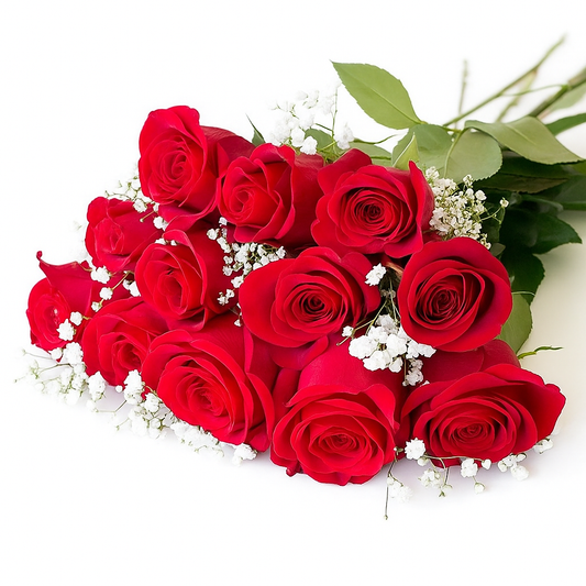 Dozen Roses with babies breath